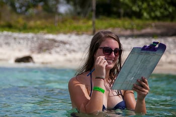 Student observing marine life data on a clipboard while standing in shallow water near the coast of the Dominican Republic. Student observing marine life data on a clipboard while standing in shallow water near the coast of the Dominican Republic.