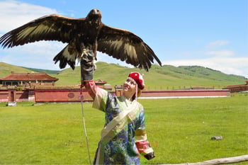 Person wearing traditional Mongolian attire with a trained eagle perched on their arm, surrounded by the green Mongolian steppe. Person wearing traditional Mongolian attire with a trained eagle perched on their arm, surrounded by the green Mongolian steppe.