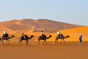 Group of travelers riding camels across the vast sand dunes in the Moroccan desert. Group of travelers riding camels across the vast sand dunes in the Moroccan desert.